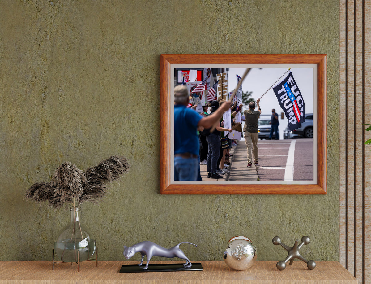 Archival Print — No Kings Protest